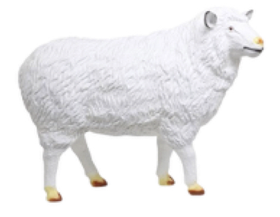 mouton-resine